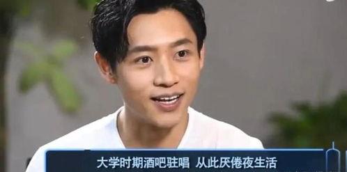 陆虎爆料魏晨视频大全集,视频大全集深度解析  第3张