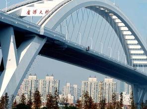 卢浦大桥爆料视频最新,揭秘事故真相与警示